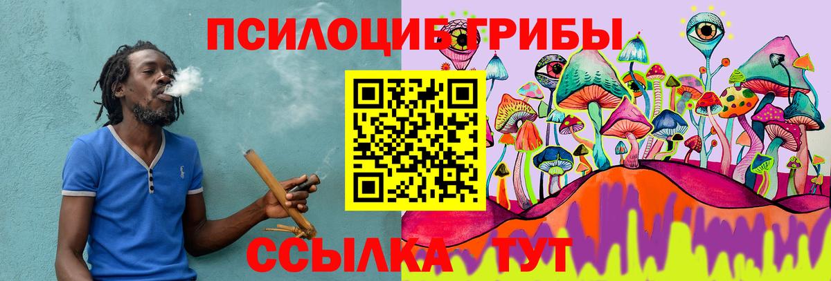 Галлюциногенные грибы мицелий Барабинск